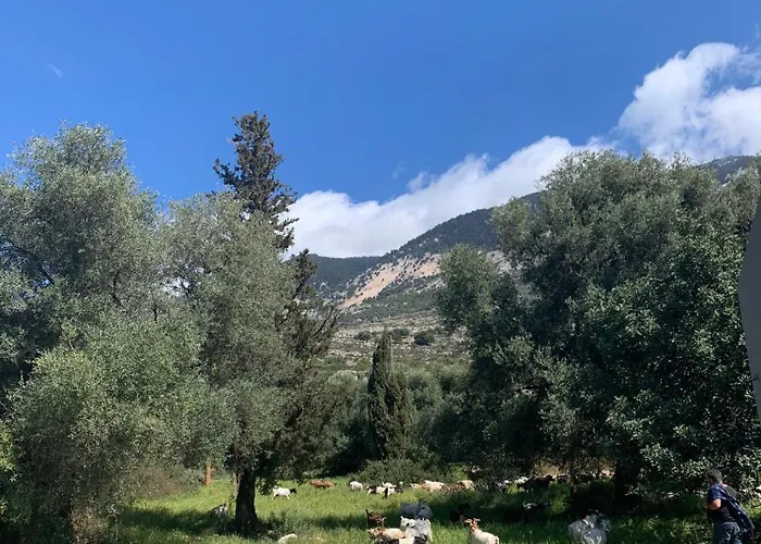 Vilă Vista Mare Lourdata Kefalonia